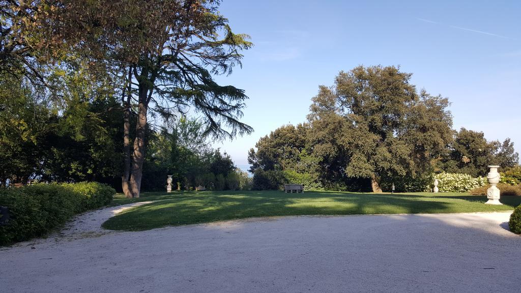 Villa Lattanzi Marina Palmense Esterno foto